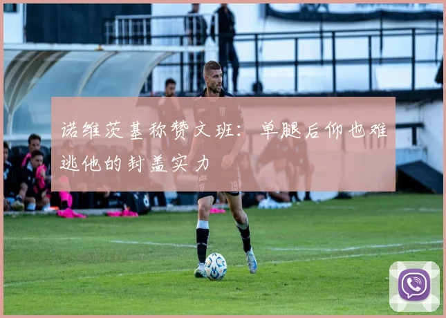 诺维茨基称赞文班：单腿后仰也难逃他的封盖实力
