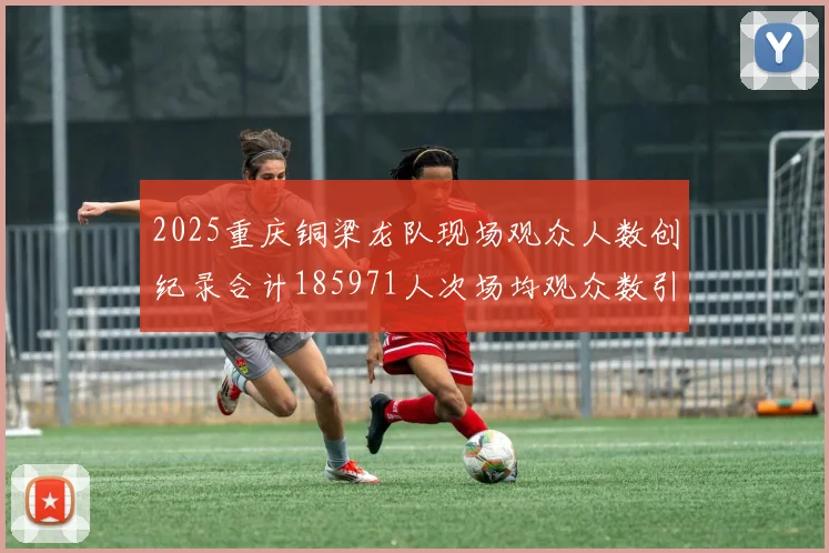 2025重庆铜梁龙队现场观众人数创纪录合计185971人次场均观众数引发热议