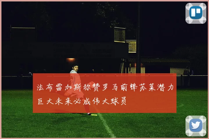 法布雷加斯称赞罗马前锋苏莱潜力巨大未来必成伟大球员