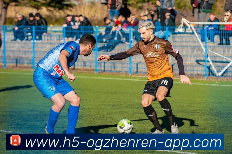 OG真人平台生态图